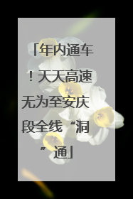 年内通车！天天高速无为至安庆段全线“洞”通